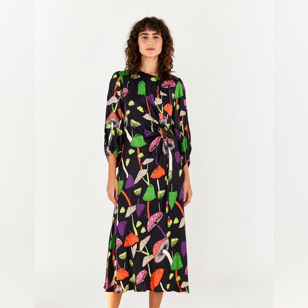 Farm Rio XS Long Sleeve Mushroom Print Dress